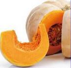 Zucca