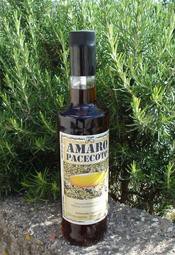Amaro Pacecoto