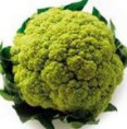Broccolo