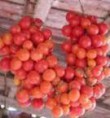 Pomodoro da Pendula