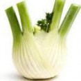 Finocchio